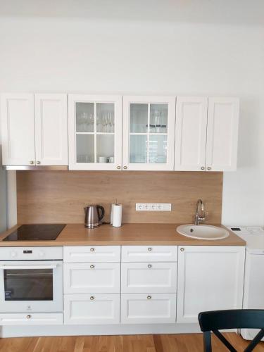 One-Bedroom Apartment image 7