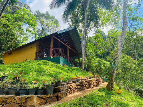 The Rainforest Hideaway