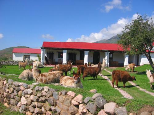 Estancia Las Carreras