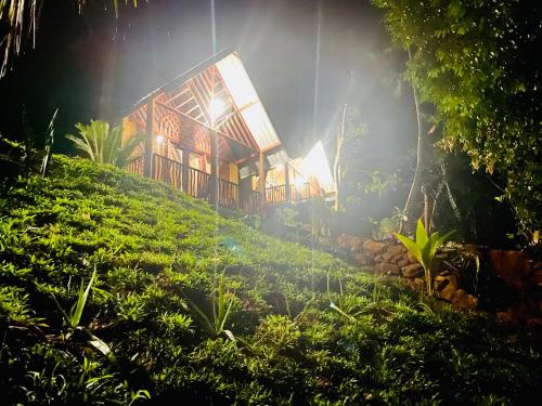 The Rainforest Hideaway