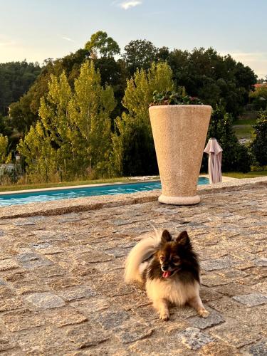 Quinta de VillaSete - image 11