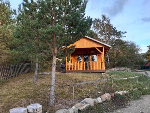 Viesnīcas āriene, Treimani Hoovimaja in Treimani