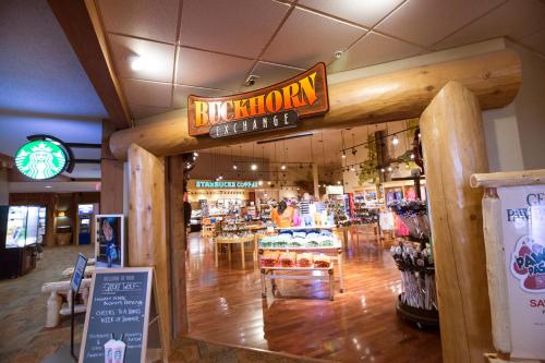 Great Wolf Lodge New England - image 6