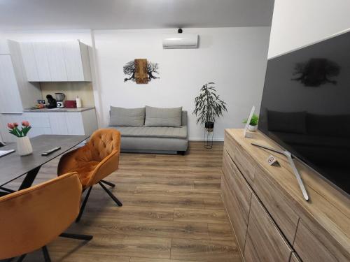 Sika Sunny Garden Apartment - Arad