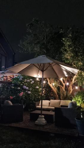 Hostel Torobayo in Valdivia City Center