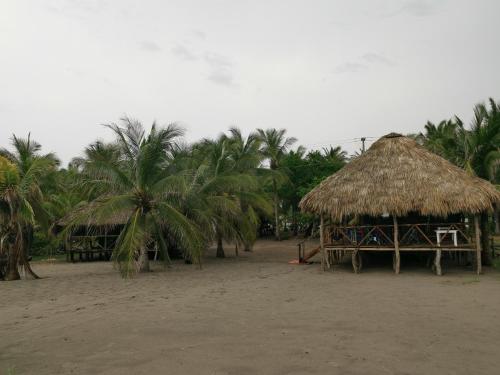 Cabañas Casa de Agua