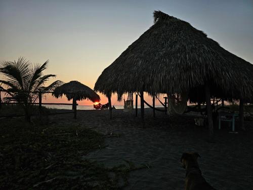 Cabañas Casa de Agua