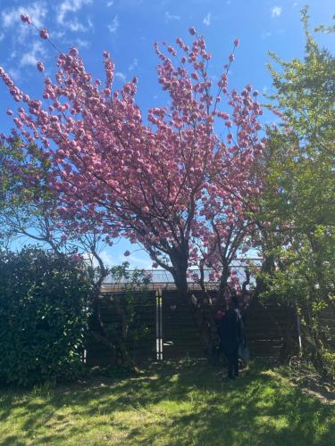 Hübsches Cottage in ehemaliger Gärtnerei Hübsches Cottage in ehemaliger Gärtnerei