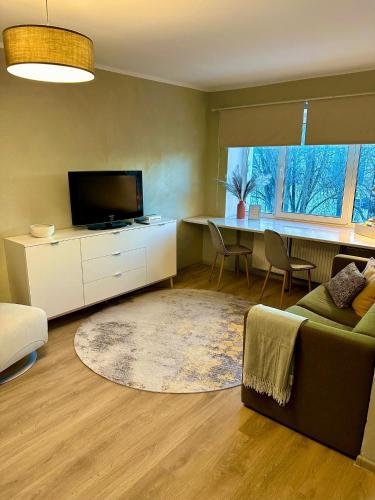 Sunny Apartment with Wall-to-Wall Desk &Tram at Door, Tallinn