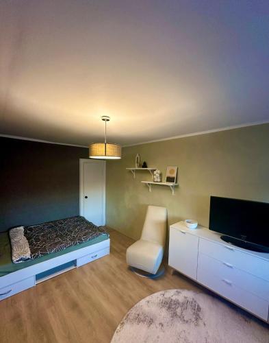 Sunny Apartment with Wall-to-Wall Desk &Tram at Door, Tallinn (photo 3)