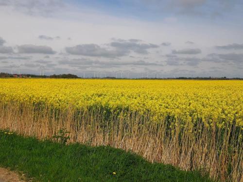 Ferienwohnung-Nordsee