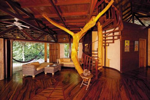 Tree House Lodge
