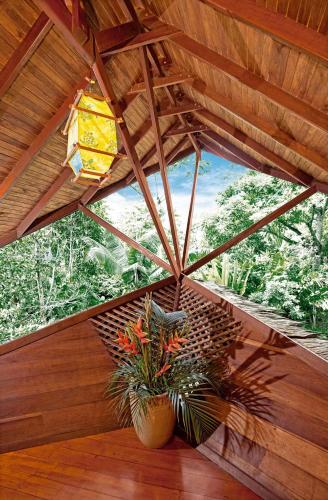 Tree House Lodge
