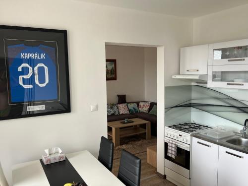 BIG 3 separate rooms convenient City HAVEN !, Bratislava (fotografie 2)