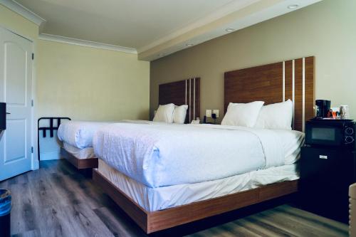 Standard Double Room image 7