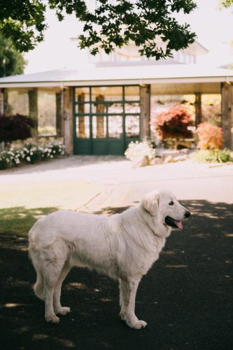 Flowerdale Estate