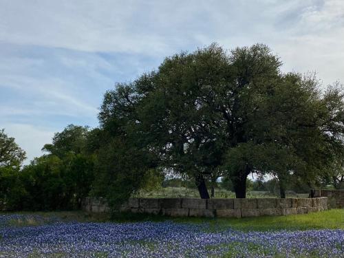 V700 Ranch Stays Guesthouse-A Tucked Away Gem in Marble Falls, USA