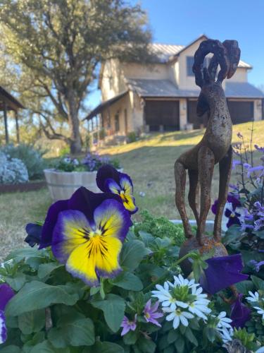 V700 Ranch Stays Guesthouse-A Tucked Away Gem in Marble Falls, USA