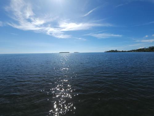 AUTE - Bord de mer -, Opoa (Foto 6)