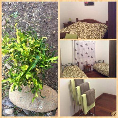 Karenga appartel Tontouta in Paita