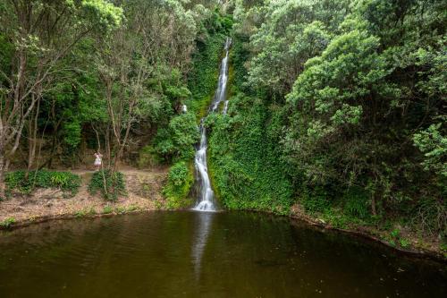 Hillcrest Hideaway - Napier Holiday Apartment