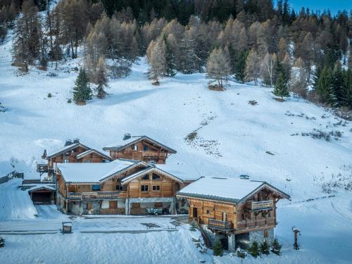 Luxueux chalet 7 chambres avec jacuzzi et sauna, proche télésiège - FR-1-181-2793 (Luxueux chalet 7 chambres avec jacuzzi et sauna, proche telesiege - FR-1-181-2793) in La Plagne