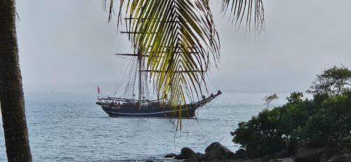 View, Bas du Fort - Magnifique vue mer - Pieds dans l'eau - Citerne d'eau - Bord de plage in Baimbridge