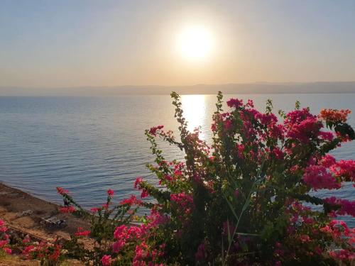 Comfy Stays Sea View Apartments at DeadSea Samarah Resort