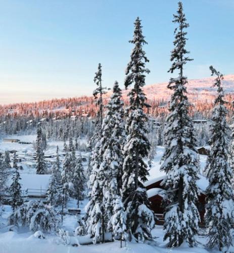 Lovely winter cottage in Vemdalen, close to skiing