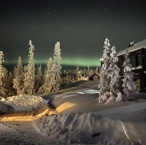 Lovely winter cottage in Vemdalen, close to skiing