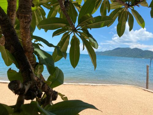 Capricorn Beachfront Cottage in Cape Maclear