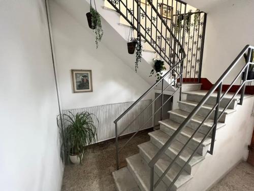 HomingPisa - Gemini One in Pisa