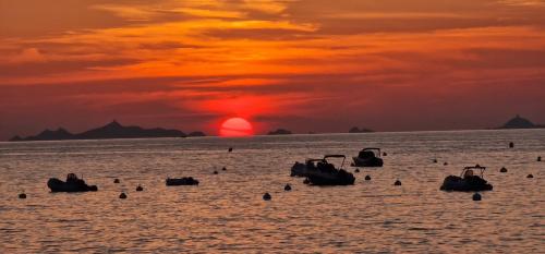 Hôtel U Paradisu (Hotel U Paradisu) in 波爾蒂喬