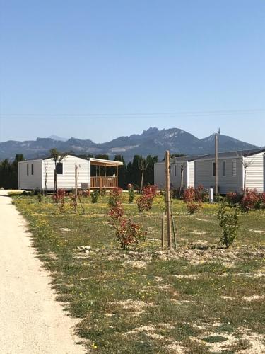 Mobile Home
