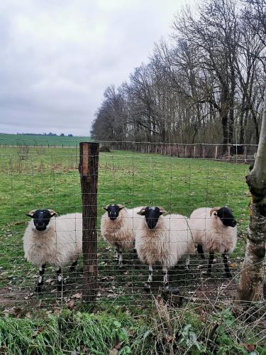 Charmante maisonnette au calme entre Beauce et Perche