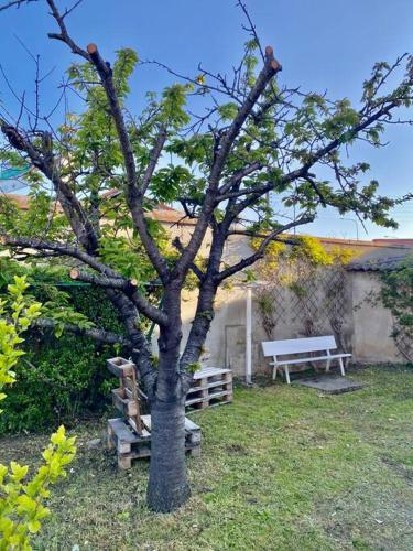 La grande maison-Toulouse Garonne-parking/jardin, Toulouse (photo 5)