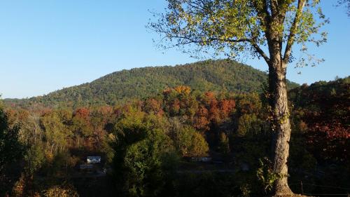 Cypress Ridge in Townsend, Vereinigte Staaten von Amerika