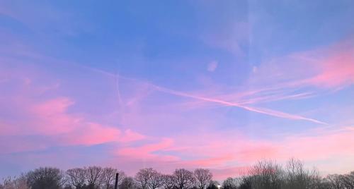 Lillibelles lodge,Oak tree farm Lillibelles lodge,Oak tree farm