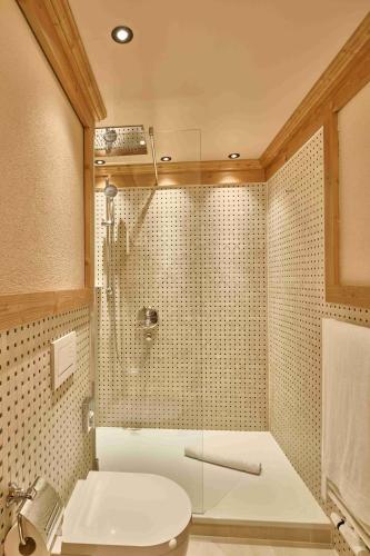 Eurotel Victoria Les Diablerets Superior - image 6