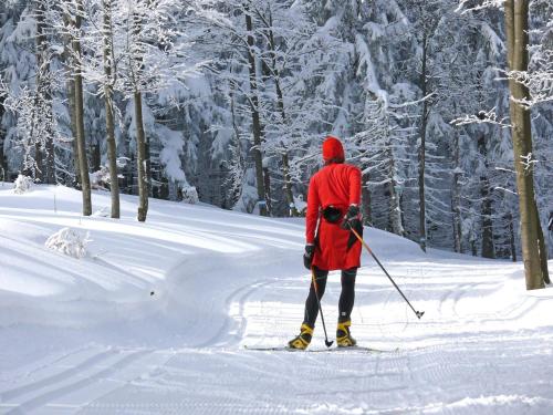 Apartment Peter in Freyung in the Bavarian Forest Apartment Peter in Freyung in the Bavarian Forest