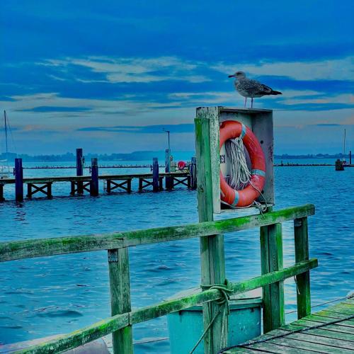 Suedstrand-Ferienwohnung-Suhr - image 2