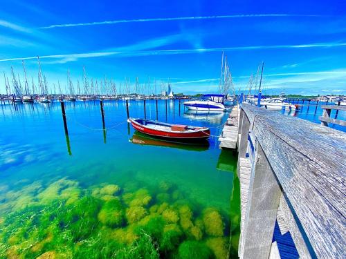 Suedstrand-Ferienwohnung-Suhr - image 13