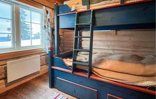 3 Bedroom Gorgeous Home In Sjusjøen in 斯幽斯耶恩
