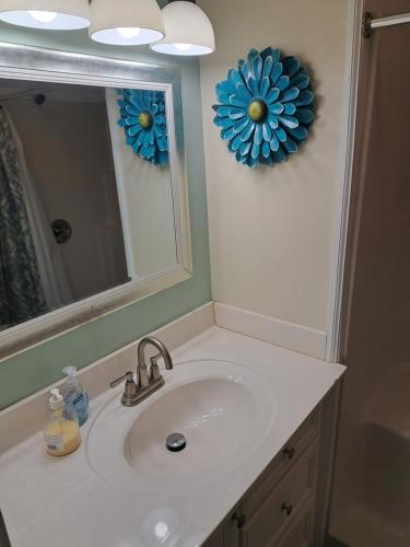 Piano Room Studio with full kitchen and no fees in Florence, USA