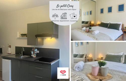 Le Petit Cosy - T2 en hypercentre, parking privé - Location saisonnière - Poitiers