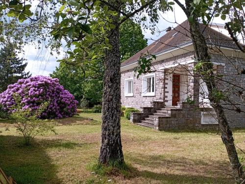 Le Gite d'Auvergne - Location saisonnière - Lanobre