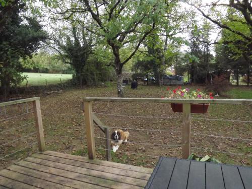 Bienvenue à La Noyeraie gîte à louer Bio