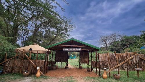 Talek Bush Camp , Masai Mara