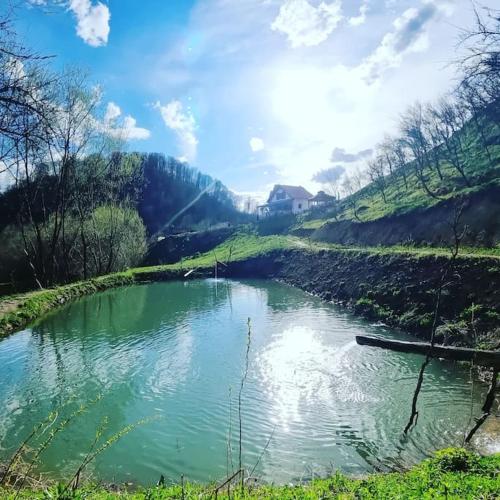 Cuibul cu Trufe, Feldru (Foto 8)