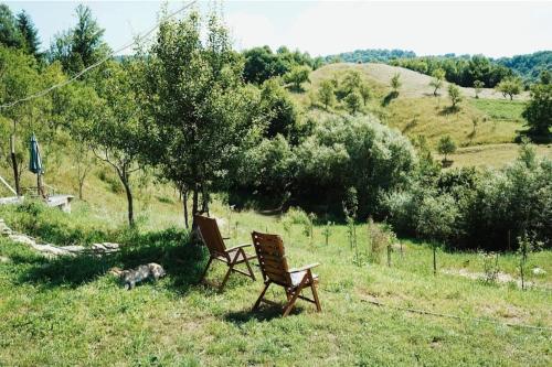 Cuibul cu Trufe, Feldru (Foto 3)